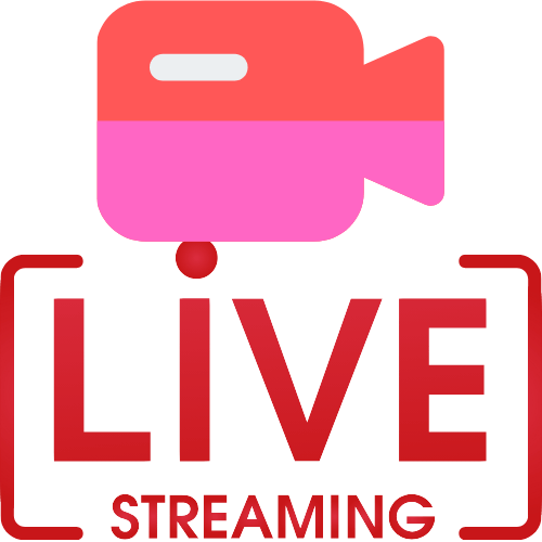 Live Chat X
